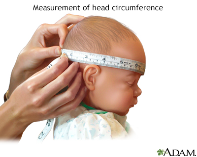 Baby Head Circumference Growth Chart