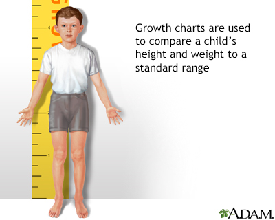 Human Body Growth Chart