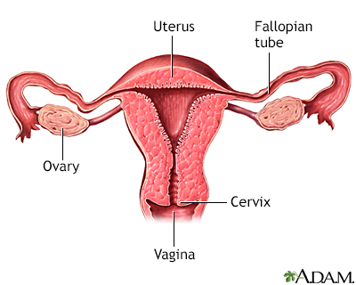 vaginal occlusive cysts Asisan sex movies